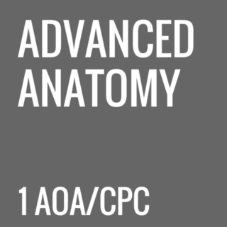 Advanced Anatomy